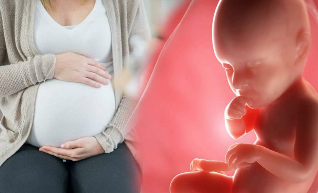 Comment les bébés obtiennent-ils les nutriments de la mère pendant la grossesse? Comment nourrir le bébé dans le ventre de la mère