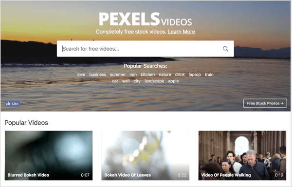 Pexels propose des vidéos gratuites que vous pouvez utiliser dans vos publicités vidéo LinkedIn.