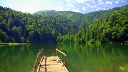 Trabzon dynamisera le tourisme avec des jardins de lavande!