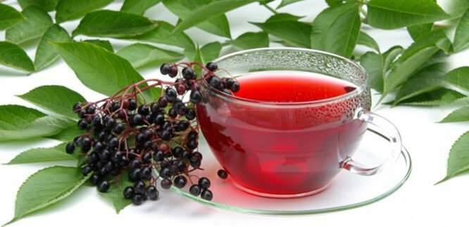 le thé de sureau offre des avantages incroyables pour le système immunitaire