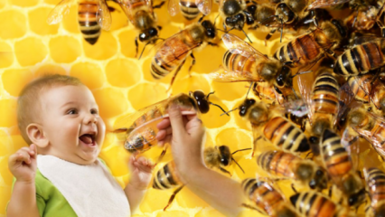 Comment donner du miel aux bébés? Ce qui ne doit pas être donné avant l'âge de 1 an