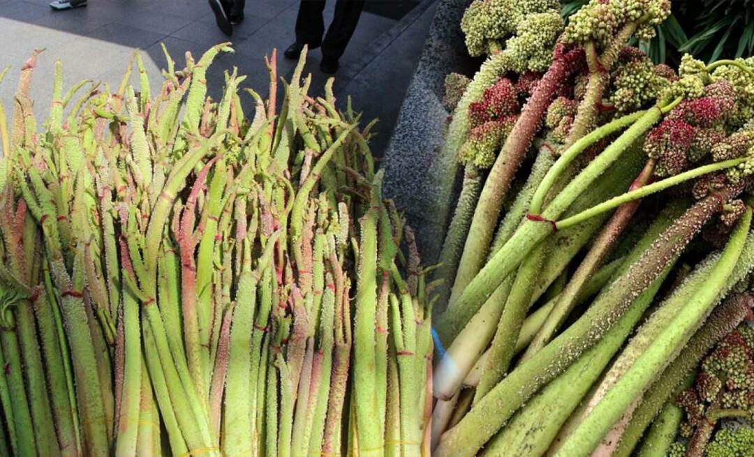 Qu'est-ce que l'herbe légère et pour quelles maladies est-elle bonne? Comment l'herbe légère est-elle consommée?