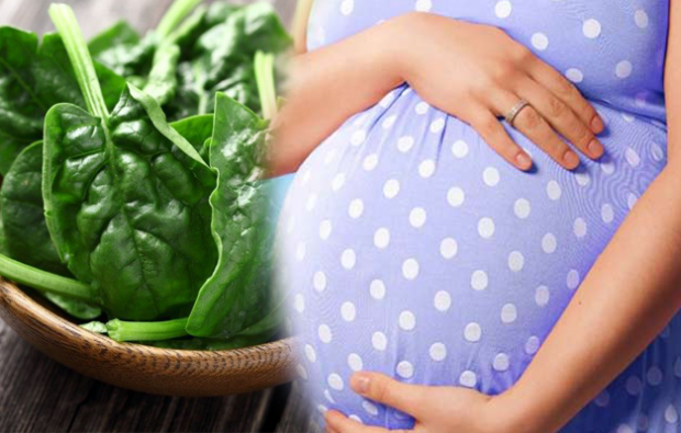 consommation d'acide folique pendant la grossesse