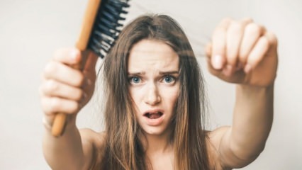 Quels sont les aliments qui empêchent la chute des cheveux?