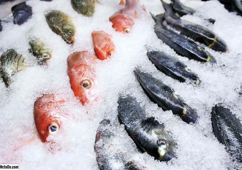 Comment le poisson est-il stocké? Quels sont les conseils pour conserver le poisson au congélateur?