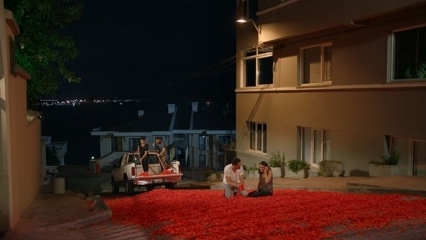 La proposition de mariage d'Onur Tuna avec 100 mille feuilles de rose!