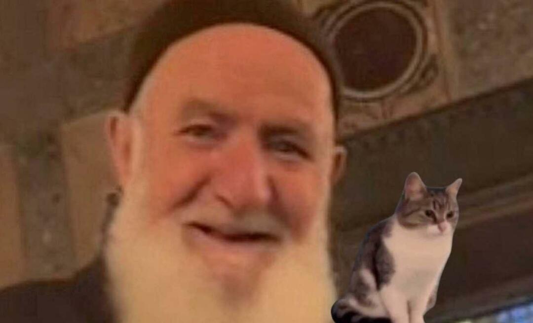 Le grand-père amoureux des chats a pris la parole pour la première fois à Sainte-Sophie! Ahmet Dede m'a fait sourire à nouveau