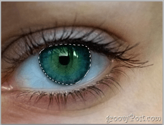 Adobe Photoshop Basics - Human Eye sélectionner le calque des yeux