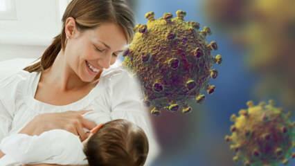 Le coronavirus passe-t-il du lait au bébé? Attention aux femmes enceintes pendant le processus de pandémie! 