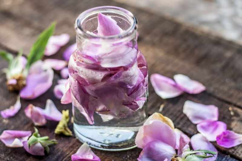 Comment faire de l'eau de rose à la maison? La méthode facile de faire de l'eau de rose ...