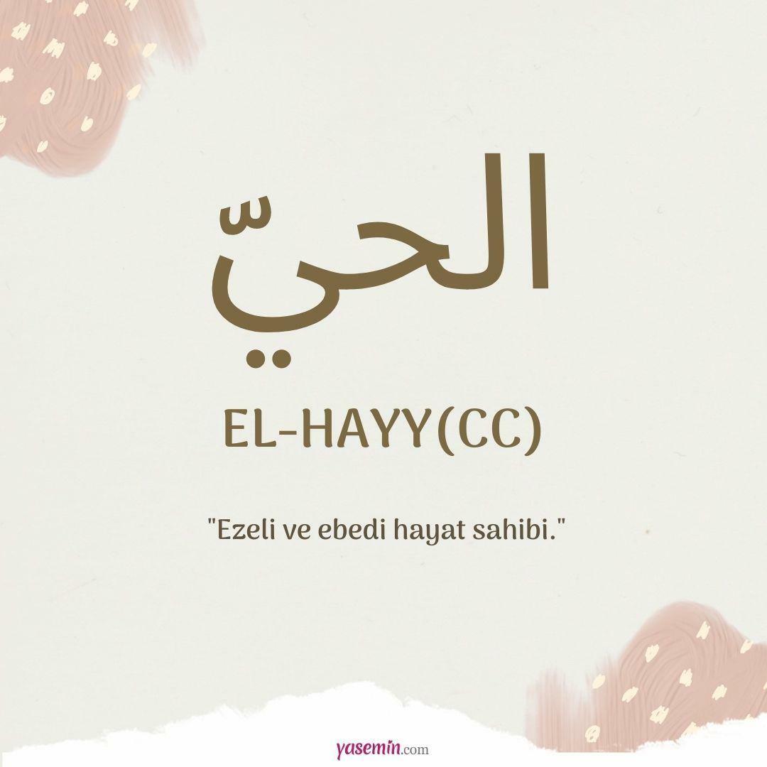 Que signifie al-Hayy (c.c) ?
