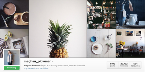 profil instagram de meghan plowman