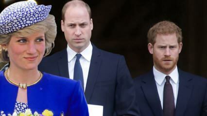 Blâmez les princes à la BBC... Prince William: Cette interview a rompu notre famille!