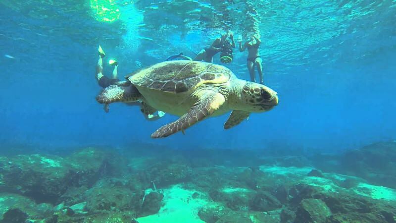 4 itinéraires spéciaux pour la plongée sous-marine! les plus beaux spots de plongée de Turquie