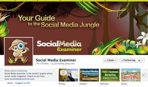 page facebook de l'examinateur des médias sociaux