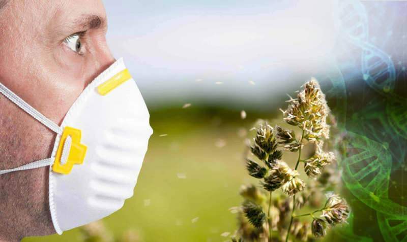 augmentation de l'allergie au pollen