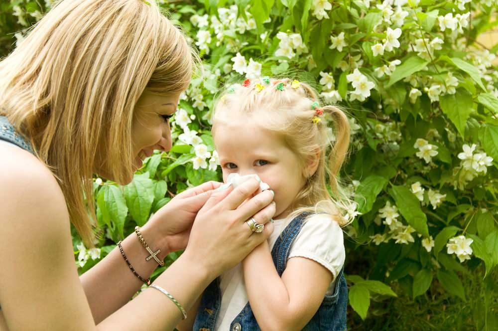 Qu'est-ce qui est bon pour les allergies saisonnières chez les enfants ?