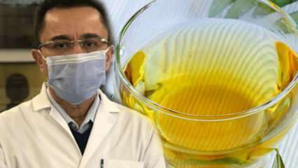 Thé miracle contre le virus: quels sont les bienfaits du thé aux feuilles d'olivier? Faire du thé aux feuilles d'olivier