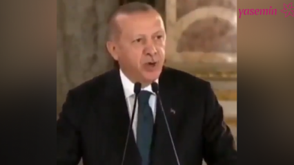 Président Erdoğan: Les artistes qui ont déversé leur côté politique dans les polémiques nous ont bouleversés