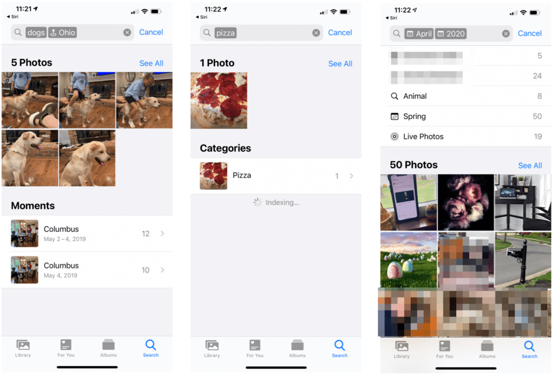 Comment rechercher des objets dans des photos sur iPhone et iPad