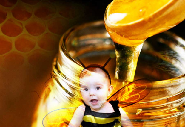 faut-il donner du miel aux bébés?