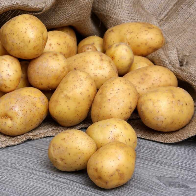 Quelle est la différence entre les pommes de terre comestibles et les pommes de terre frites