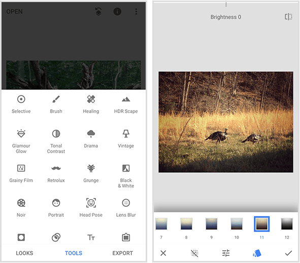 Un menu Snapseed sur la gauche montre 20 outils différents, et un exemple de filtre Snapseed sur la droite montre un photo de deux dindes sauvages marchant dans l'herbe dorée et un menu de filtres au bas d'un écran mobile.