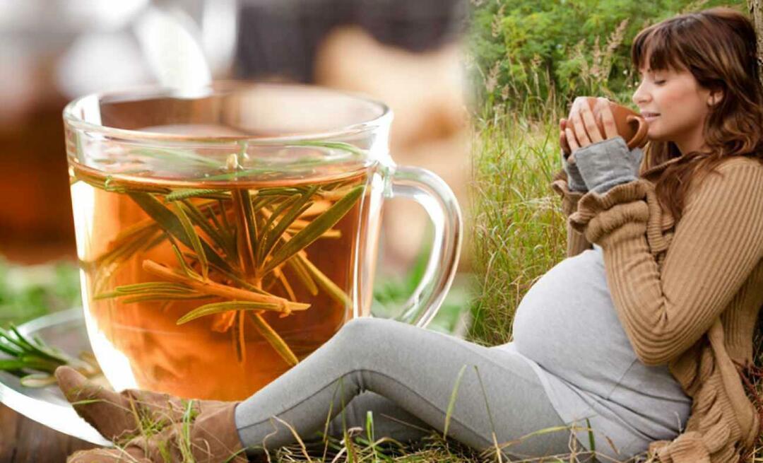 Les femmes enceintes peuvent-elles boire du thé d'hiver? Quel thé boire pendant la grossesse? thés d'hiver pour femmes enceintes