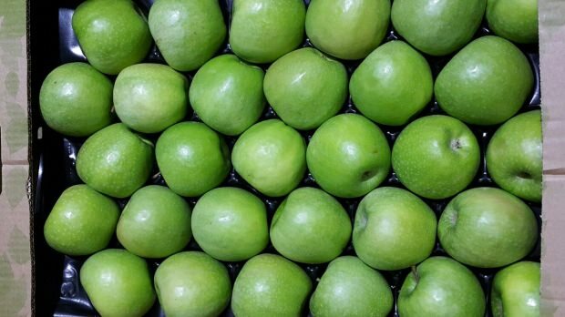 À quoi sert la pomme verte?