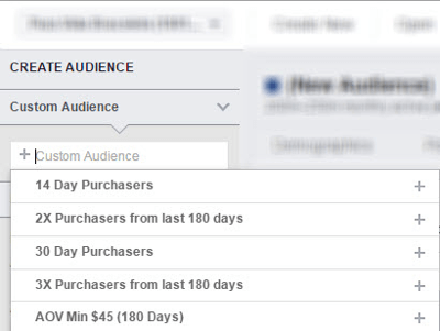 Analysez votre audience personnalisée choisie dans Facebook Audience Insights.