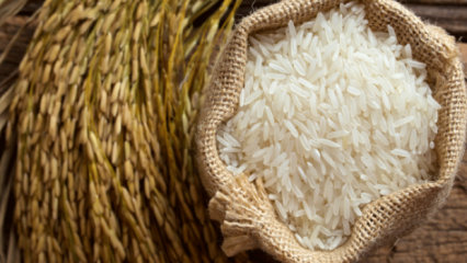 Comment le meilleur du riz est-il compris? 