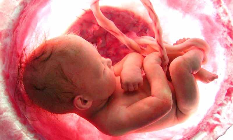 Naissance d'un bébé dans l'utérus