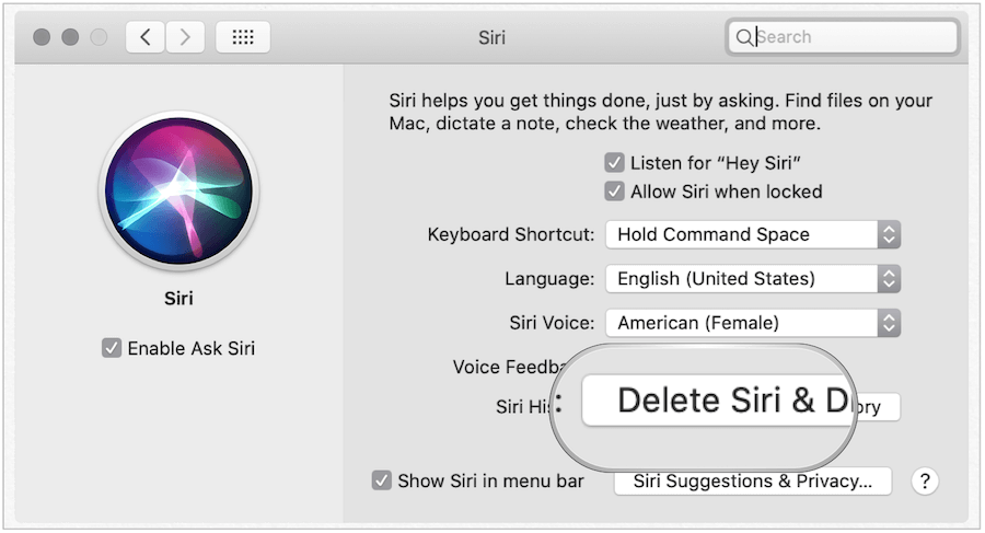Supprimer l'historique Siri sur Mac