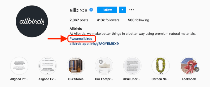 exemple de hashtag d'entreprise inclus dans la description de profil du compte instagram @allbirds
