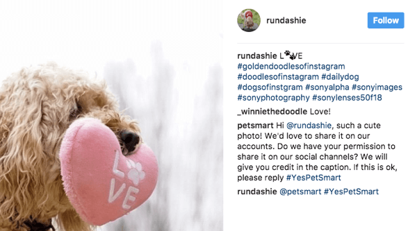 PetSmart parcourt une variété de hashtags liés aux animaux et demande aux fans la permission d'utiliser des images pertinentes dans leur marketing.