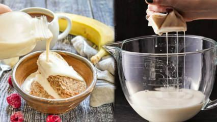 Comment faire du lait d'avoine à la maison? Fabrication pratique de lait d'avoine