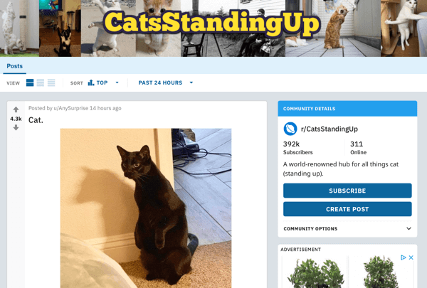 Comment commercialiser votre entreprise sur Reddit, exemple de publication de subreddit r / Cats