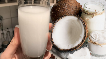 Que fait l'eau de coco? Quels sont les bienfaits de la noix de coco?