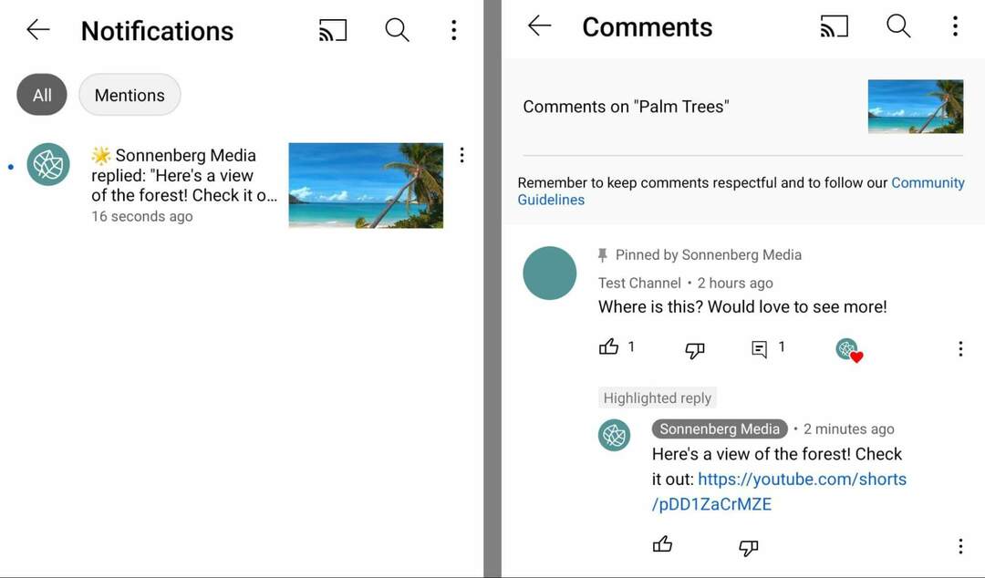 comment-utiliser-youtube-short-commenting-feature-to-tag-and-mention-commenters-copy-url-for-short-and-share-in-comment-on-original-video-sonnenbergmedia-example-15
