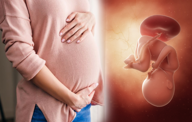 Quels sont les symptômes de la grossesse? Symptômes de grossesse précoce