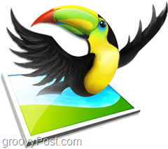 éditeur de couleurs de volière toucan