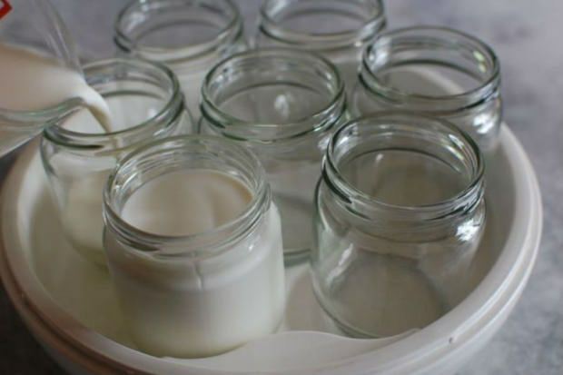 yaourt au lait du village
