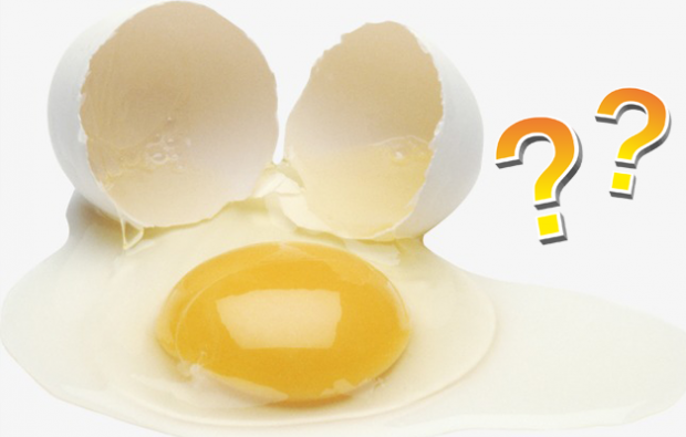 Que le jaune ou le blanc de l'œuf soit bénéfique