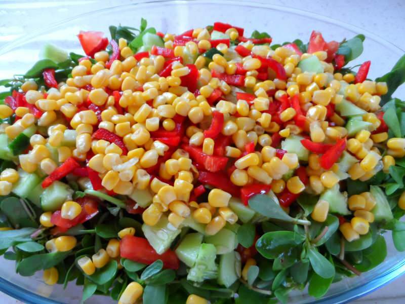Comment faire une salade de pourpier? La recette de salade de pourpier la plus simple