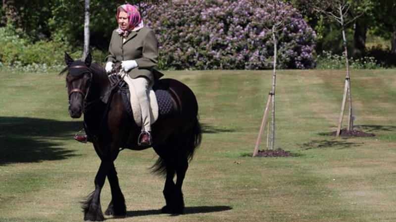 reine d'Angleterre Elizabeth