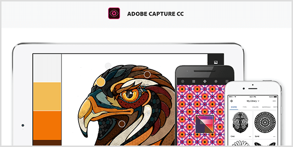 Adobe Capture crée une palette à partir d'une image que vous capturez avec un appareil mobile. Le site Web montre une illustration d'un oiseau et une palette créée à partir de l'illustration, qui comprend du gris clair, du jaune, de l'orange et du brun rougeâtre.