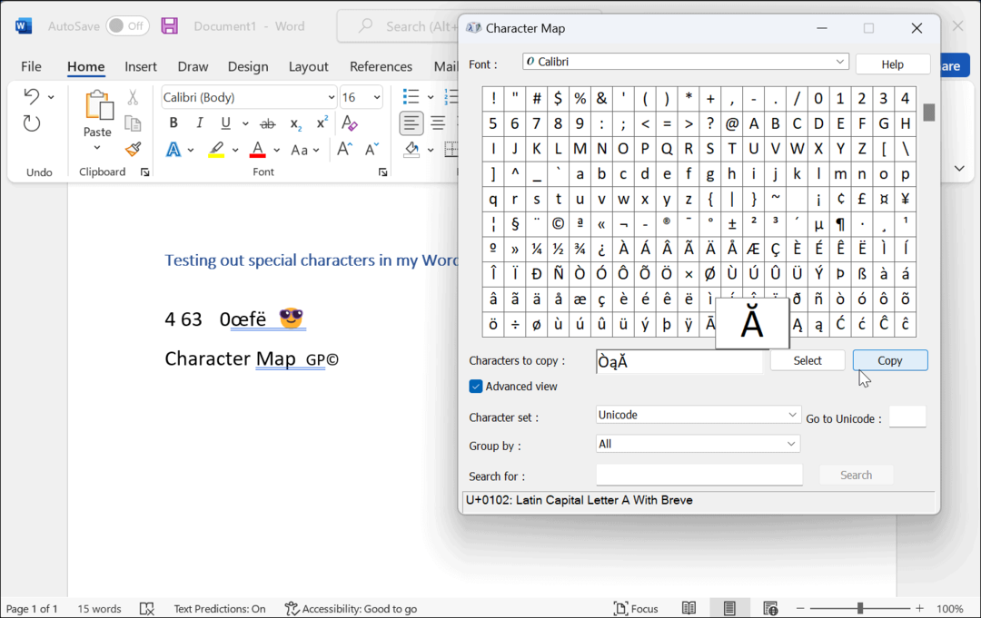 caractères Type de carte caractères spéciaux sur Windows 11