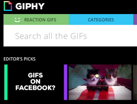 giphy sur facebook