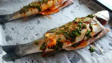 Comment cuisiner le poisson bleu? La façon la plus simple de cuisiner le poisson bleu! Recette de poisson bleu au four