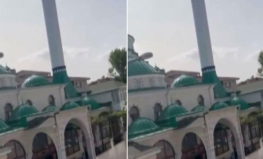 L'annonce « Le chat est triste » faite depuis la mosquée est devenue virale! Ces moments qui font sourire tout le monde...
